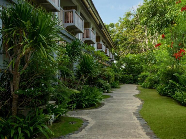 A garden path between the buildings, under flowering trees