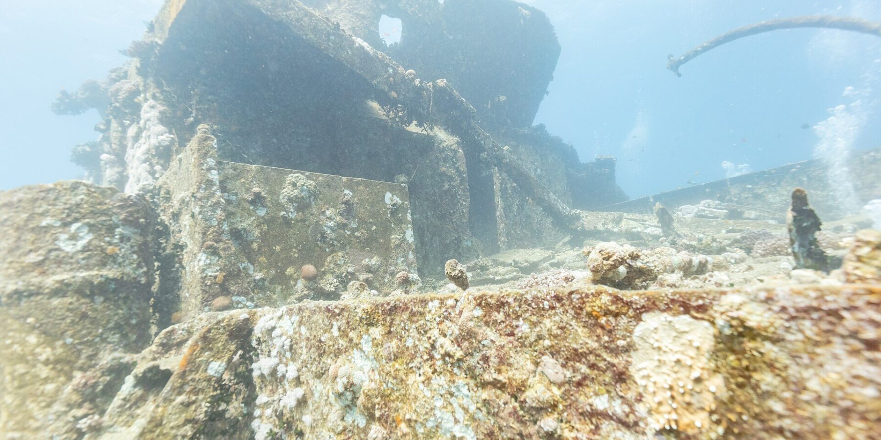 The forward superstructure of the Thistlegorm covered in hard corals, seen from the deck