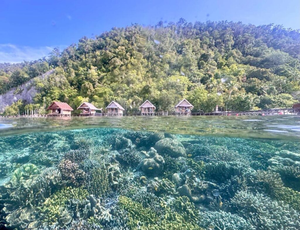 The coral reef just below the surface and the bungalows on stilts of Terimakasih Homestay, at the foot of a wooded hill