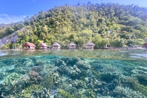 The coral reef just below the surface and the bungalows on stilts of Terimakasih Homestay, at the foot of a wooded hill