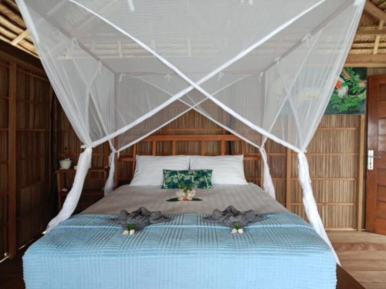 A bed under a mosquito net with a light blue bedspread, near a bird painting and a wooden door