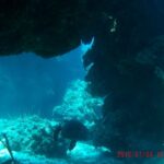 A turtle resting on the sand under a coral overhang at Palancar, sea fans in the foreground and the blue behind
