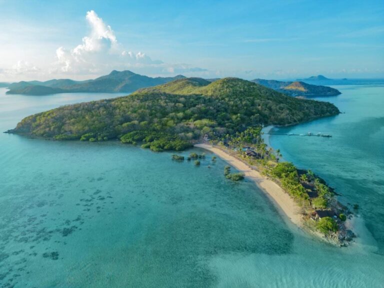 Aerial view of a forested island, extended by a spit of sand lined with palm trees