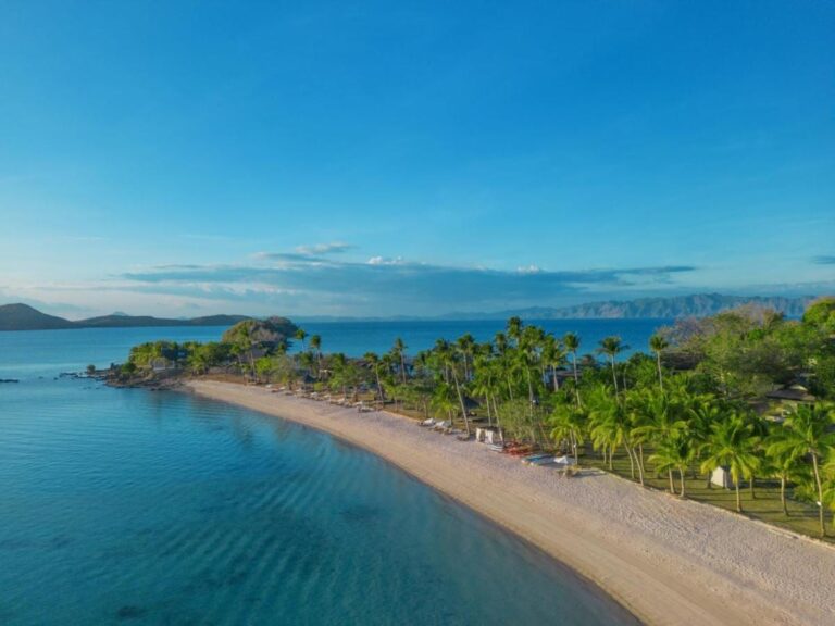 A long white sand beach lined with palm trees, facing a calm sea