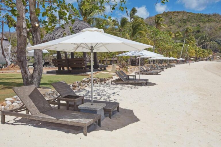 Sun loungers and white parasols lined up on the sandy beach, under the trees