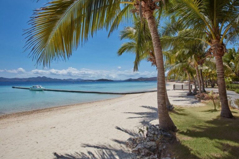 The white sand beach under the palm trees, with a boat moored at a jetty