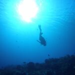 The silhouette of a diver heading down head-first toward the Palancar Gardens reef, the sun backlit at the surface, sea fans on the bottom