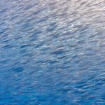 A tight school of silver snipefish, small fish with long tube-shaped snouts, fills the whole frame diagonally, lit by the sun at top right in blue water