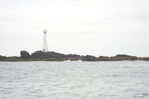 A slender white lighthouse with a red door stands on the low, rocky islet of Formigão, its dark rocks fringed with brown algae, above a gray, rough sea under an overcast sky