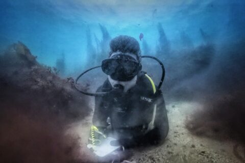 A diver in a black wetsuit, lying on a sandy bottom between two rocks covered in brown algae, writes on a white slate, with the outlines of kelp standing out in the blue behind him.