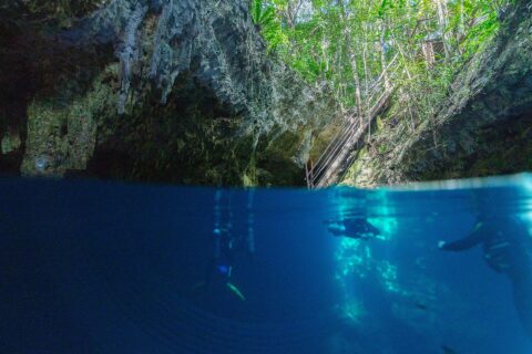 Split view at the entrance to The Pit Cenote: the limestone vault and wooden staircase under the jungle at the top, two divers in deep blue water below